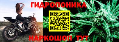 наркотики Шебекино